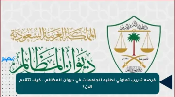 فرصة تدريب تعاوني لطلبة الجامعات في ديوان المظالم.. كيف تتقدم الآن؟
